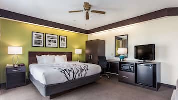 Habitación de hotel con cama, escritorio, televisor, microondas y armarios.
