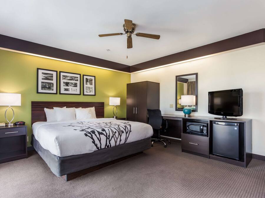 Habitación de hotel con cama, escritorio, televisor, microondas y armarios.