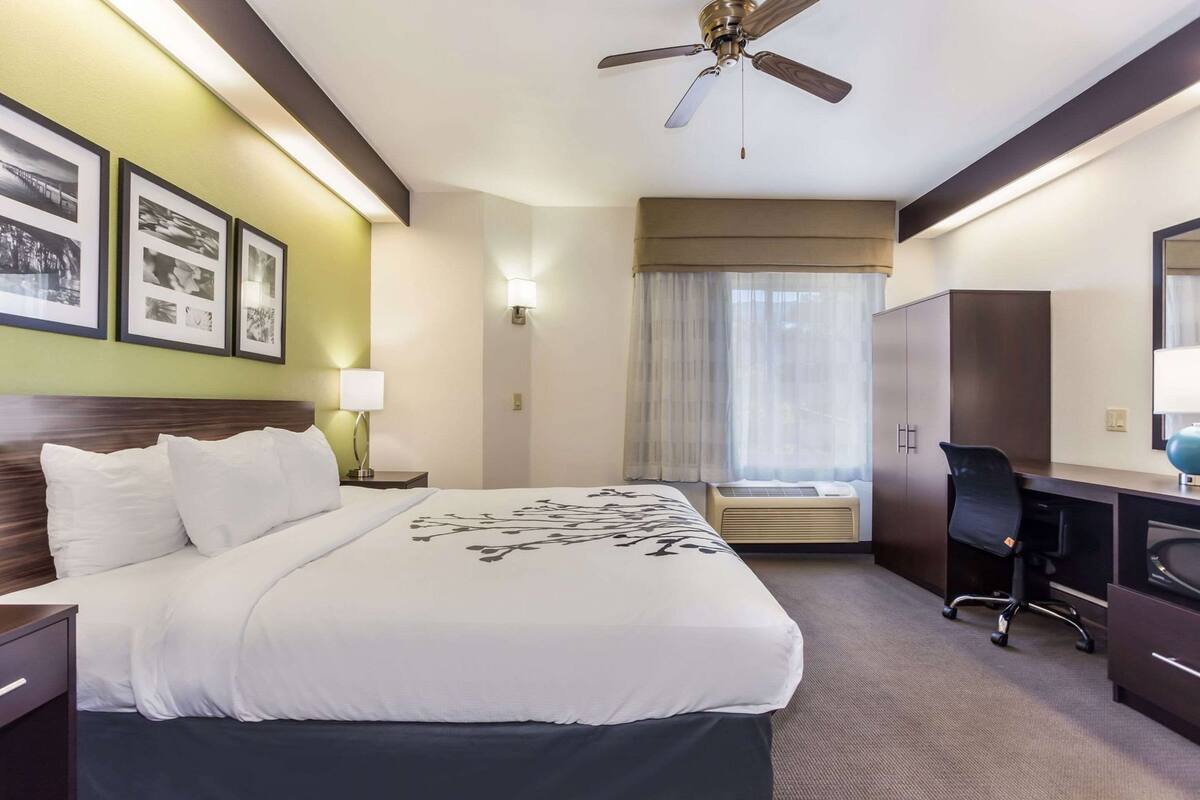 A hotel room with a bed, desk, chair, and ceiling fan.
