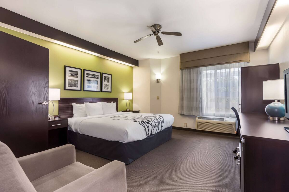 A hotel room with a bed, a desk, a chair, a ceiling fan, a window with curtains, and framed pictures on the wall.