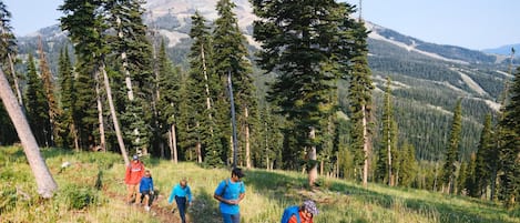 A group of people hiking on a grassy trail with a mountain in the background.
