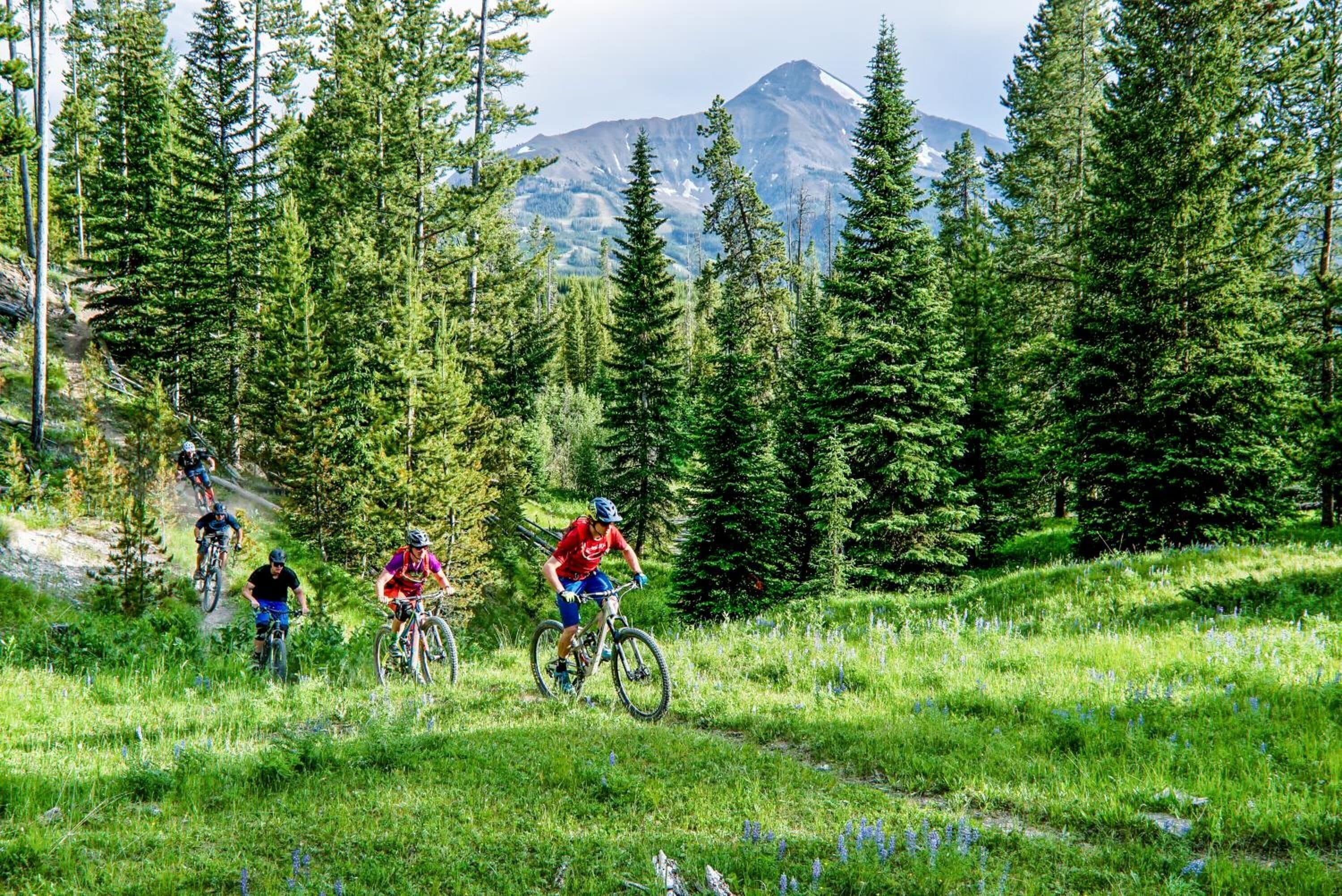 Un grupo de ciclistas de montaña en un sendero rodeado de un bosque denso y una montaña al fondo.