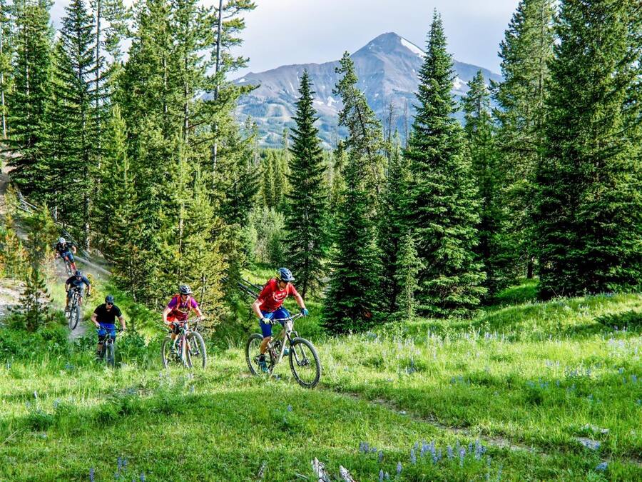 A group of mountain bikers on a trail surrounded by dense forest and a mountain in the background.