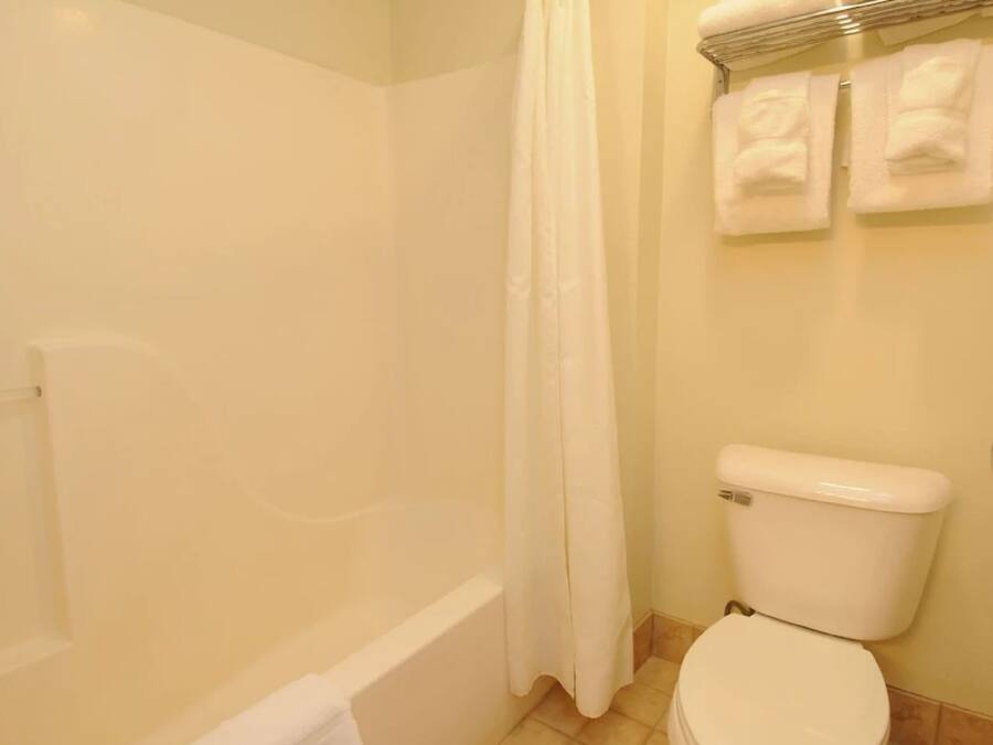 A bathroom with a bathtub, toilet, and a shower curtain.