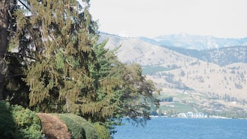 A coastal landscape with a large tree, a body of water, and distant mountains.