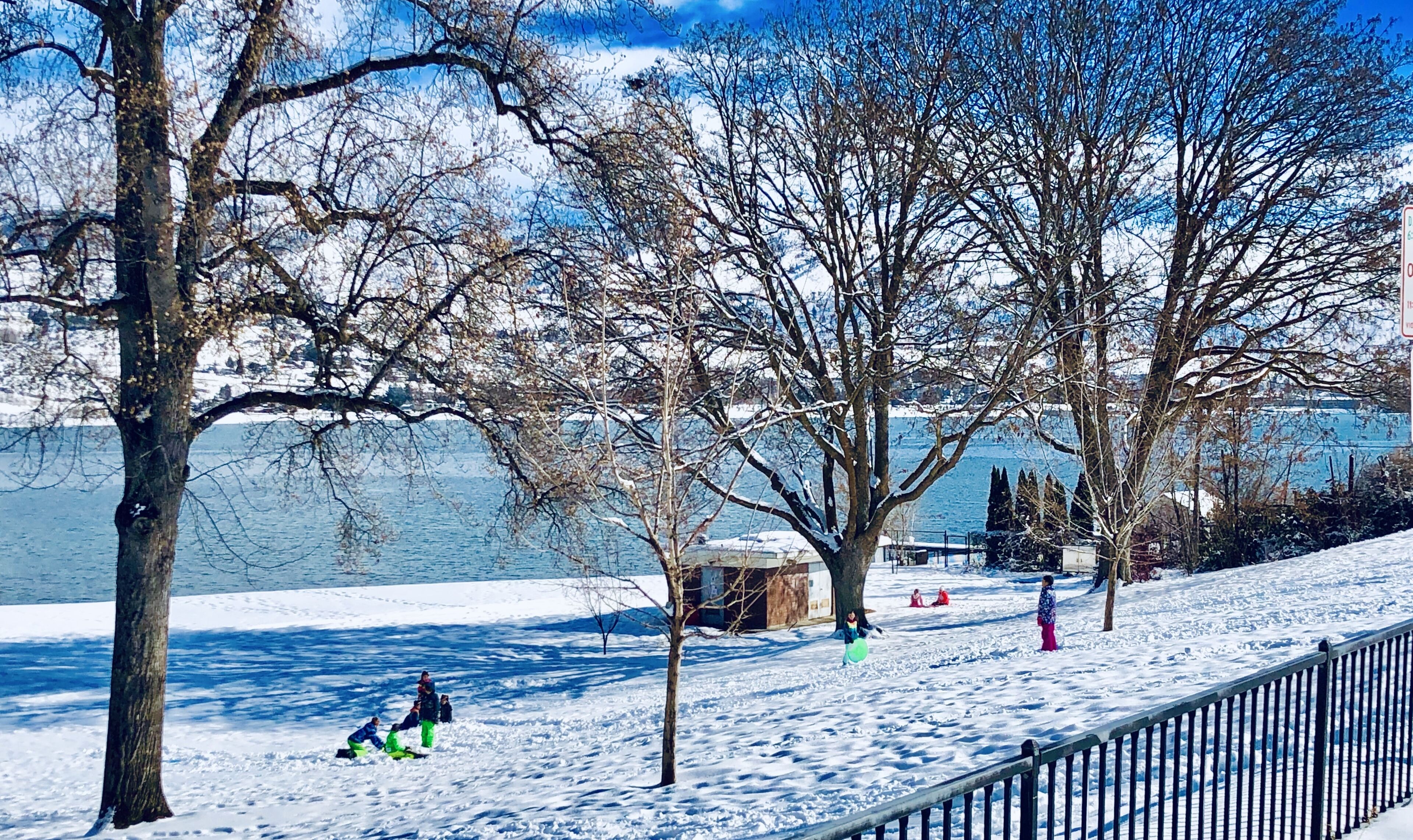 Ein verschneiter Park mit Bäumen und einem See.