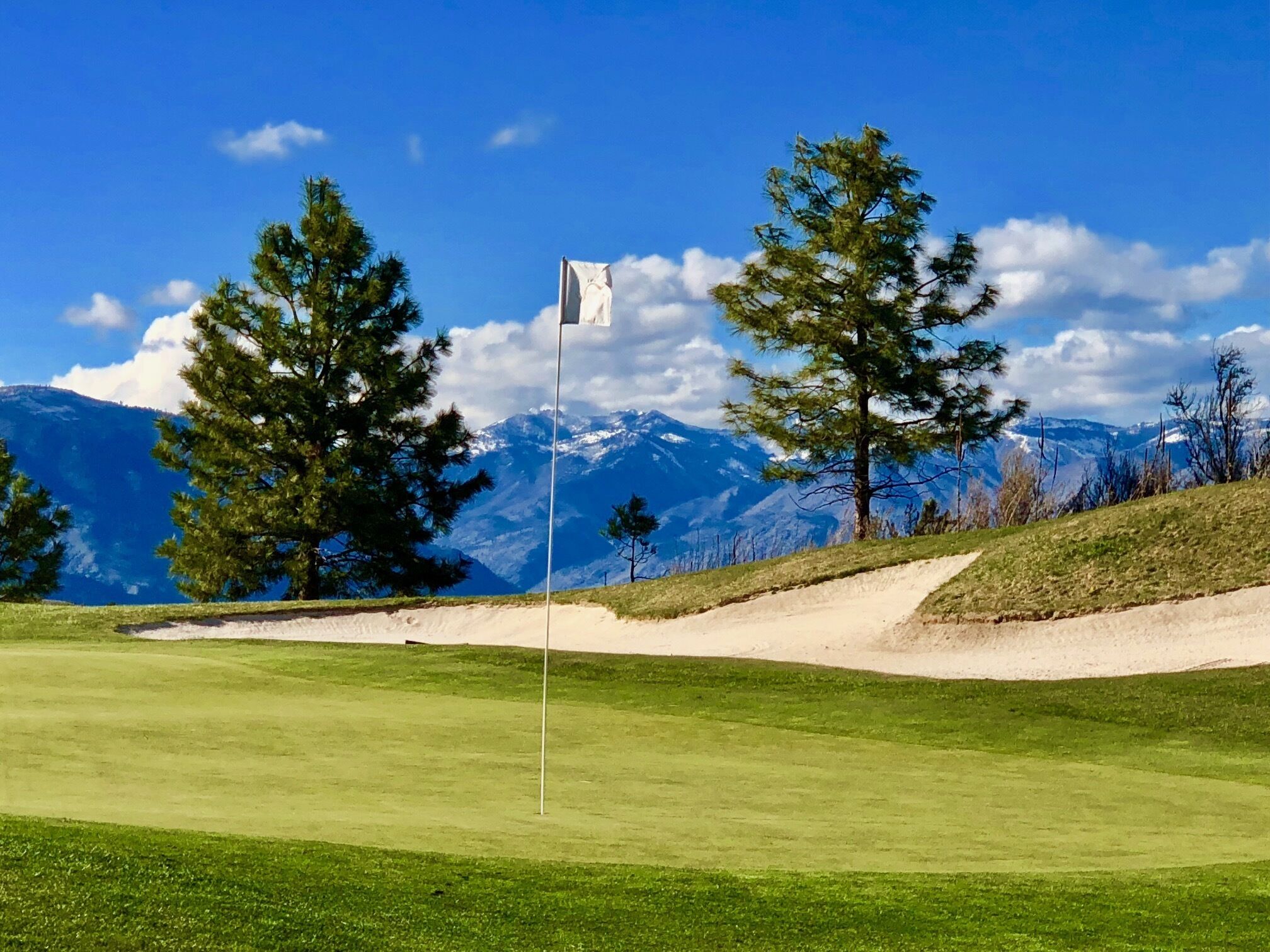 A golf course with a flagstick, surrounded by pine trees and mountains in the background.