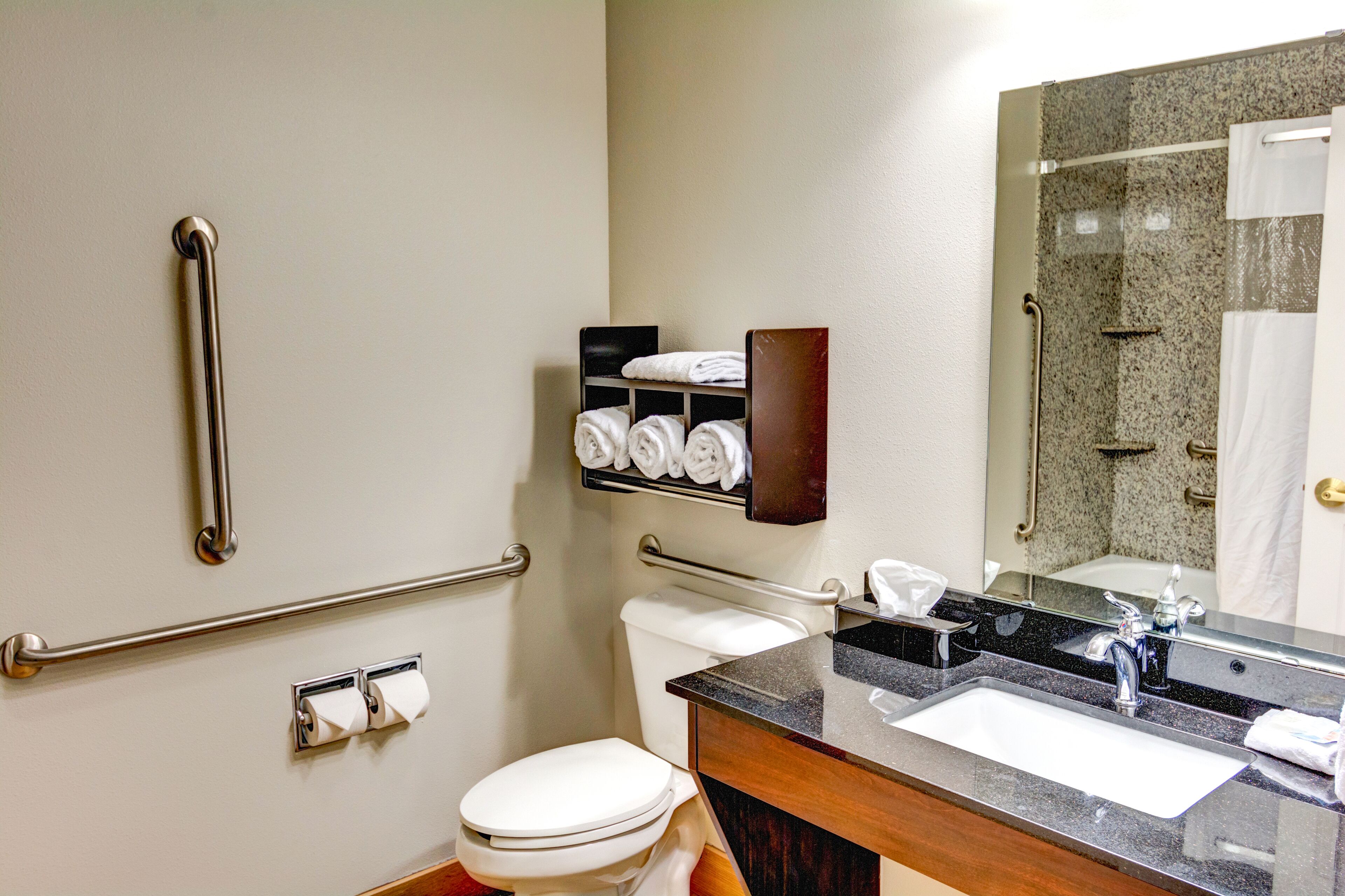 A bathroom with a toilet, sink, and handrails.