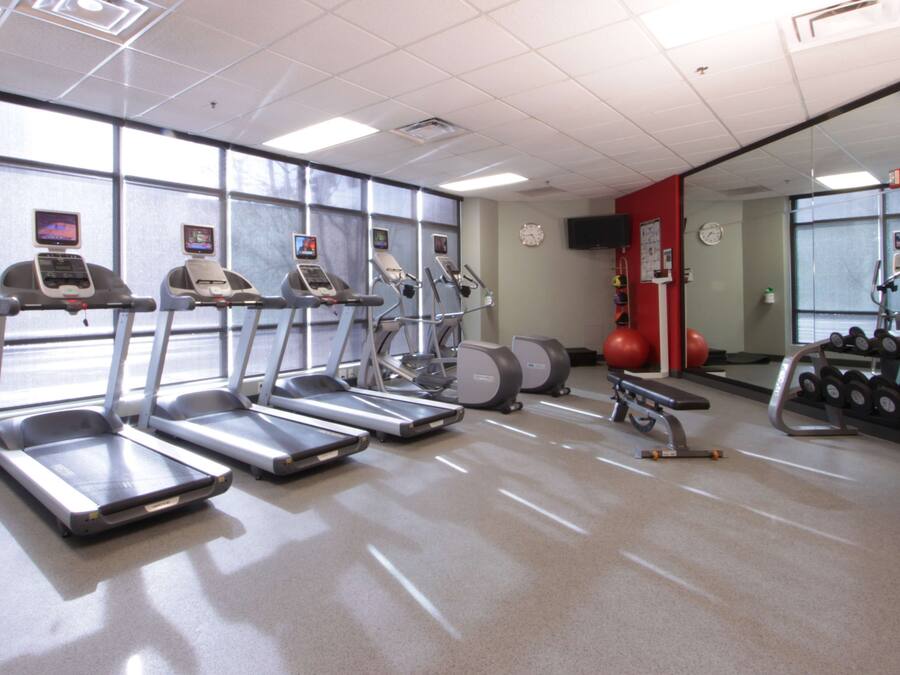 Academia com esteiras, elípticos e um banco de musculação.
