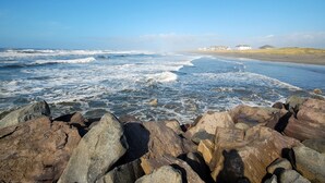 On the beach - Quality Inn Ocean Shores (Ocean Shores)