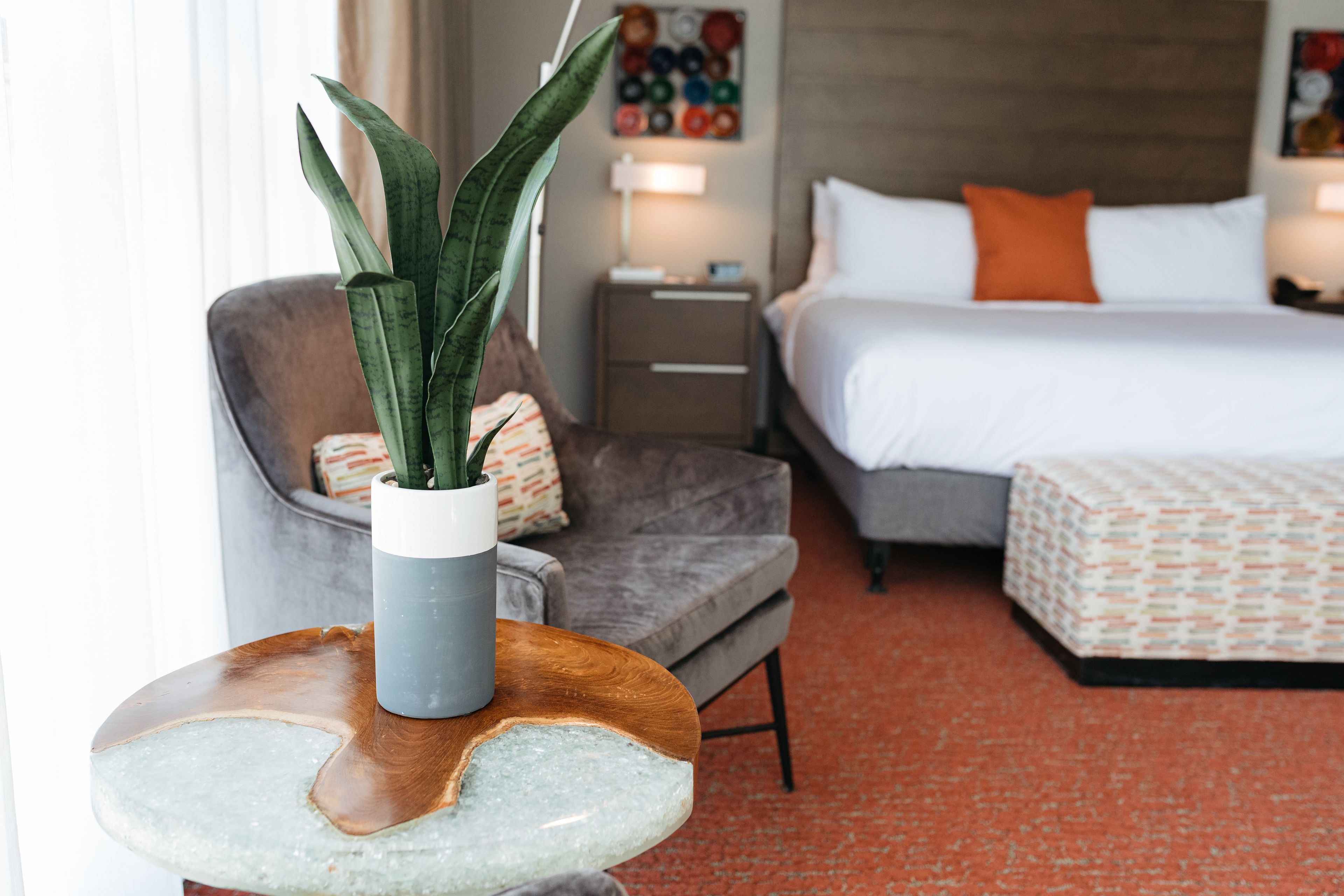 Una camera d'albergo con un letto, una sedia, un tavolino con una pianta e un comodino con una lampada.