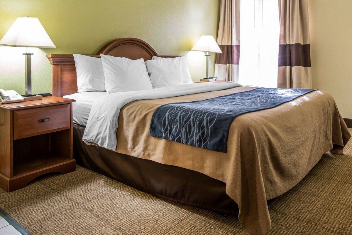 A hotel room with a bed, two bedside lamps, a nightstand with a phone, and a carpeted floor.