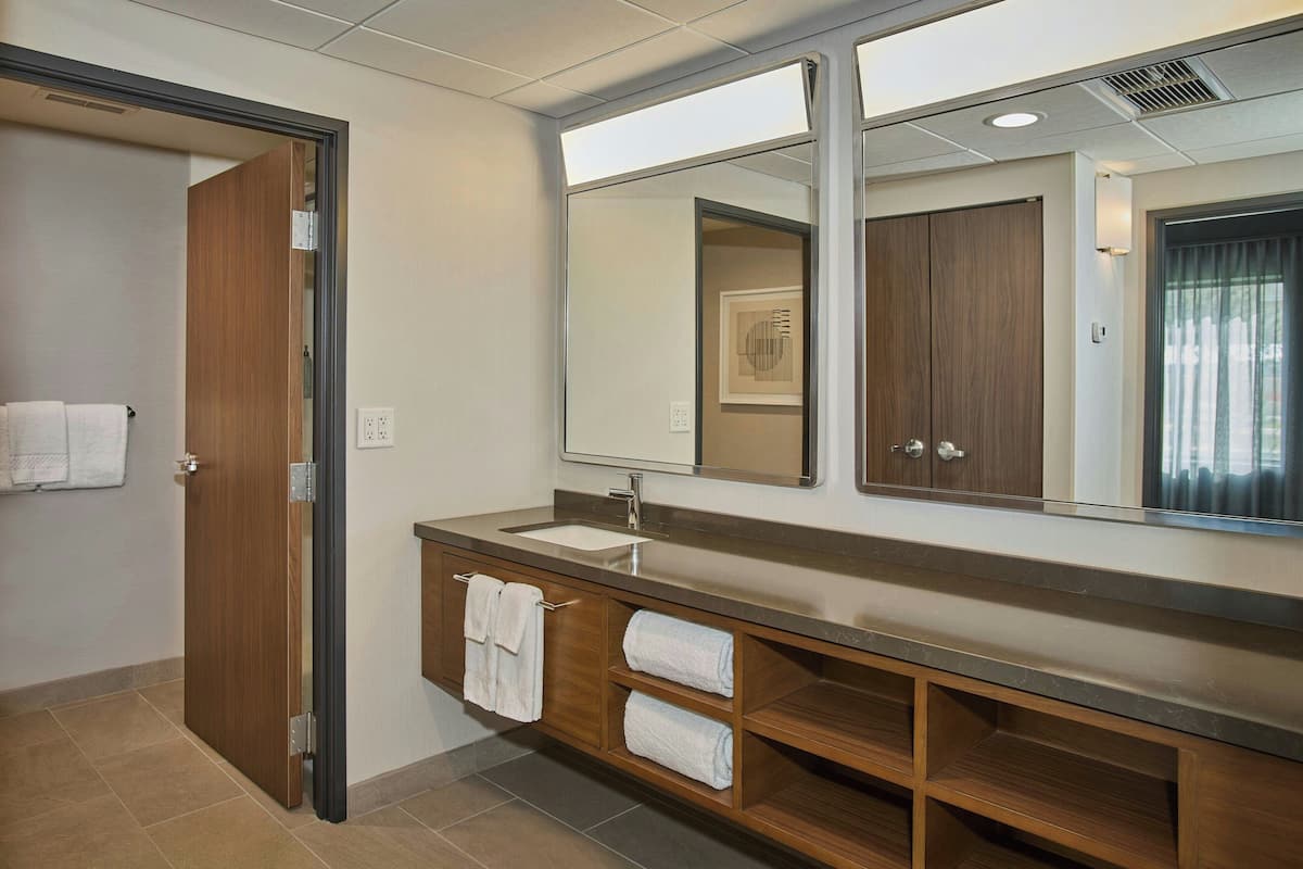 combined shower/bathtub, free toiletries, hair dryer, towels