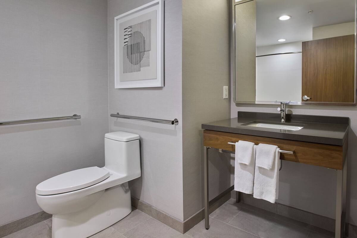 combined shower/bathtub, free toiletries, hair dryer, towels