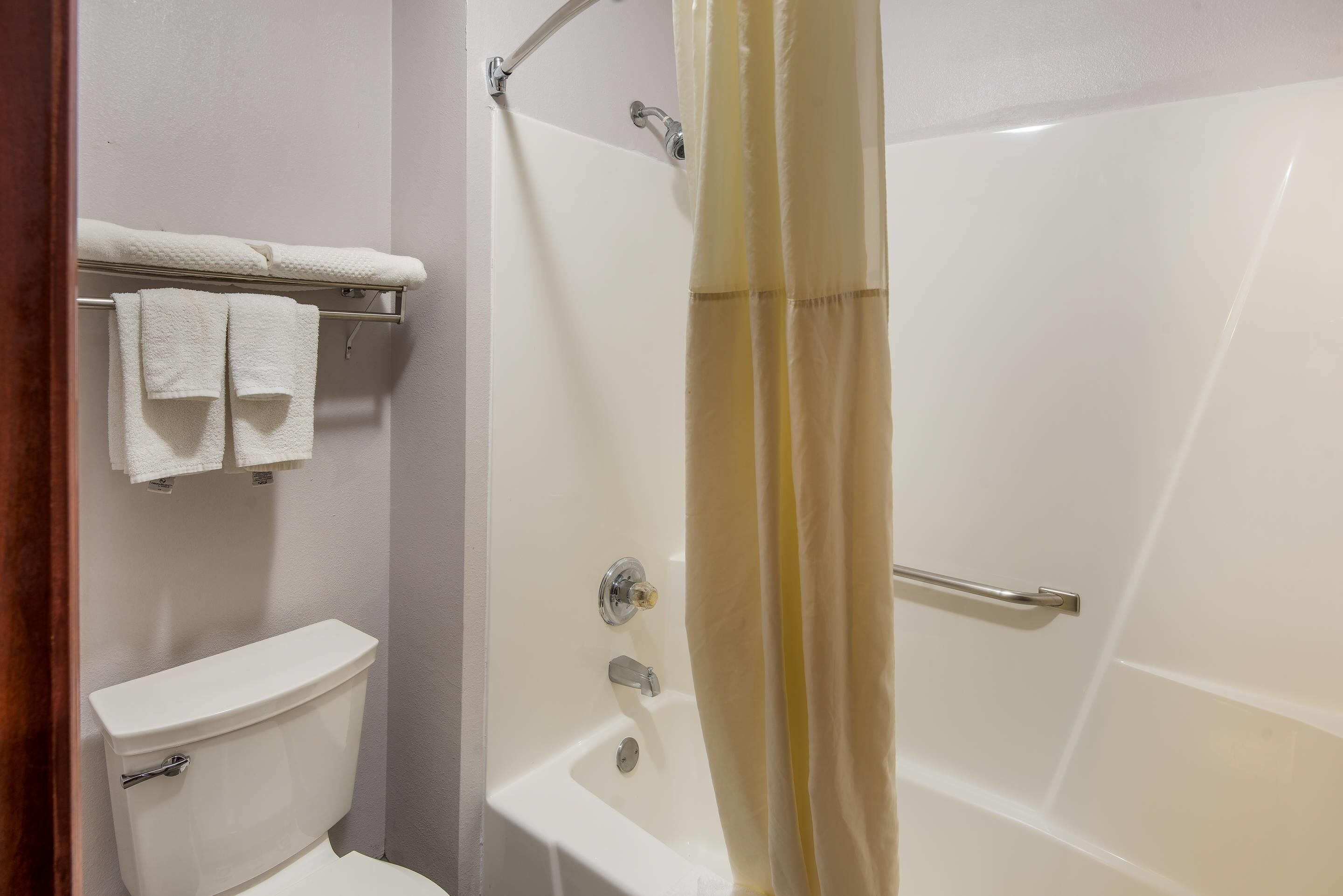 A bathroom with a toilet, a bathtub, and a shower curtain.