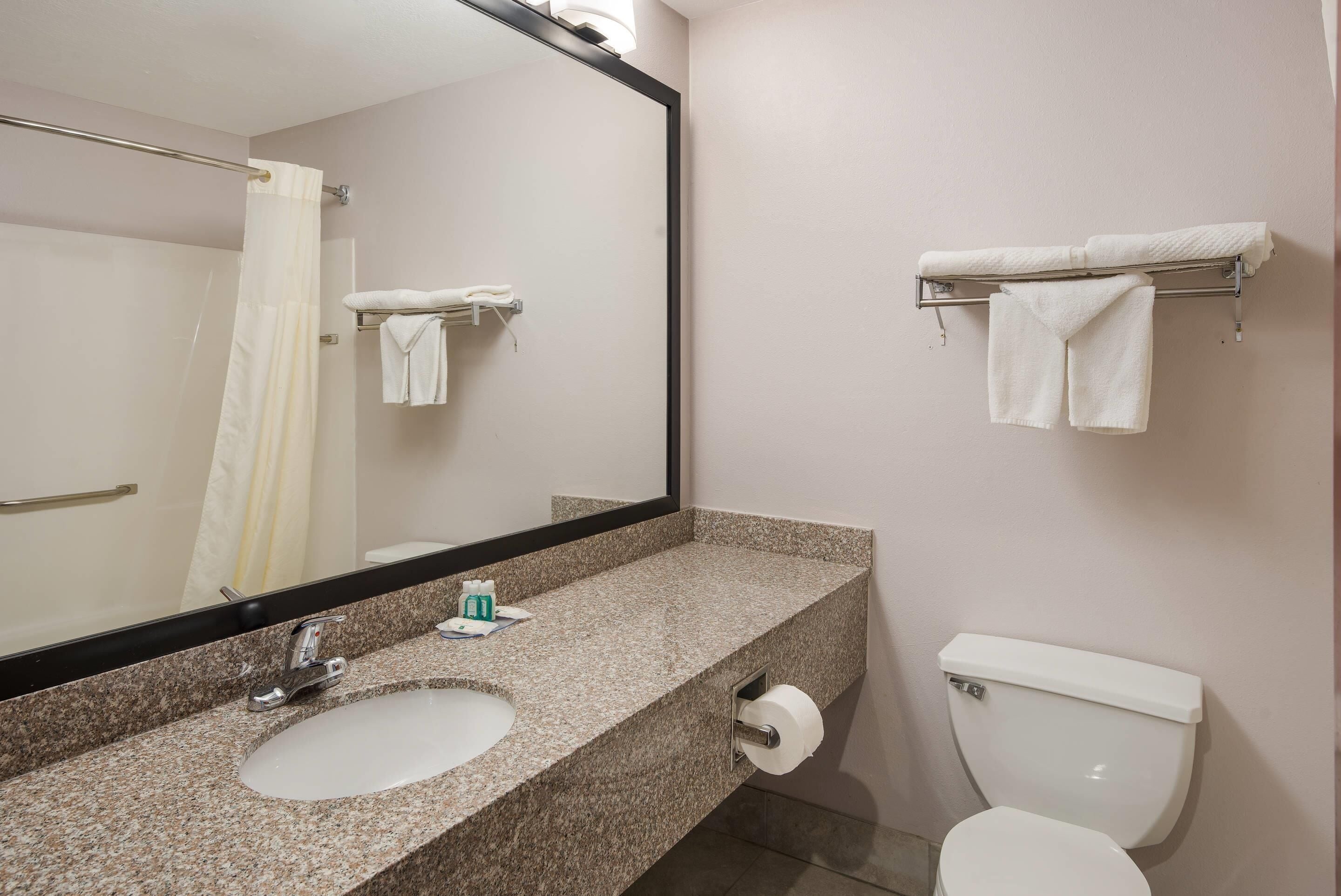 Un baño con encimera de granito, lavamanos, inodoro, toallero y espejo.
