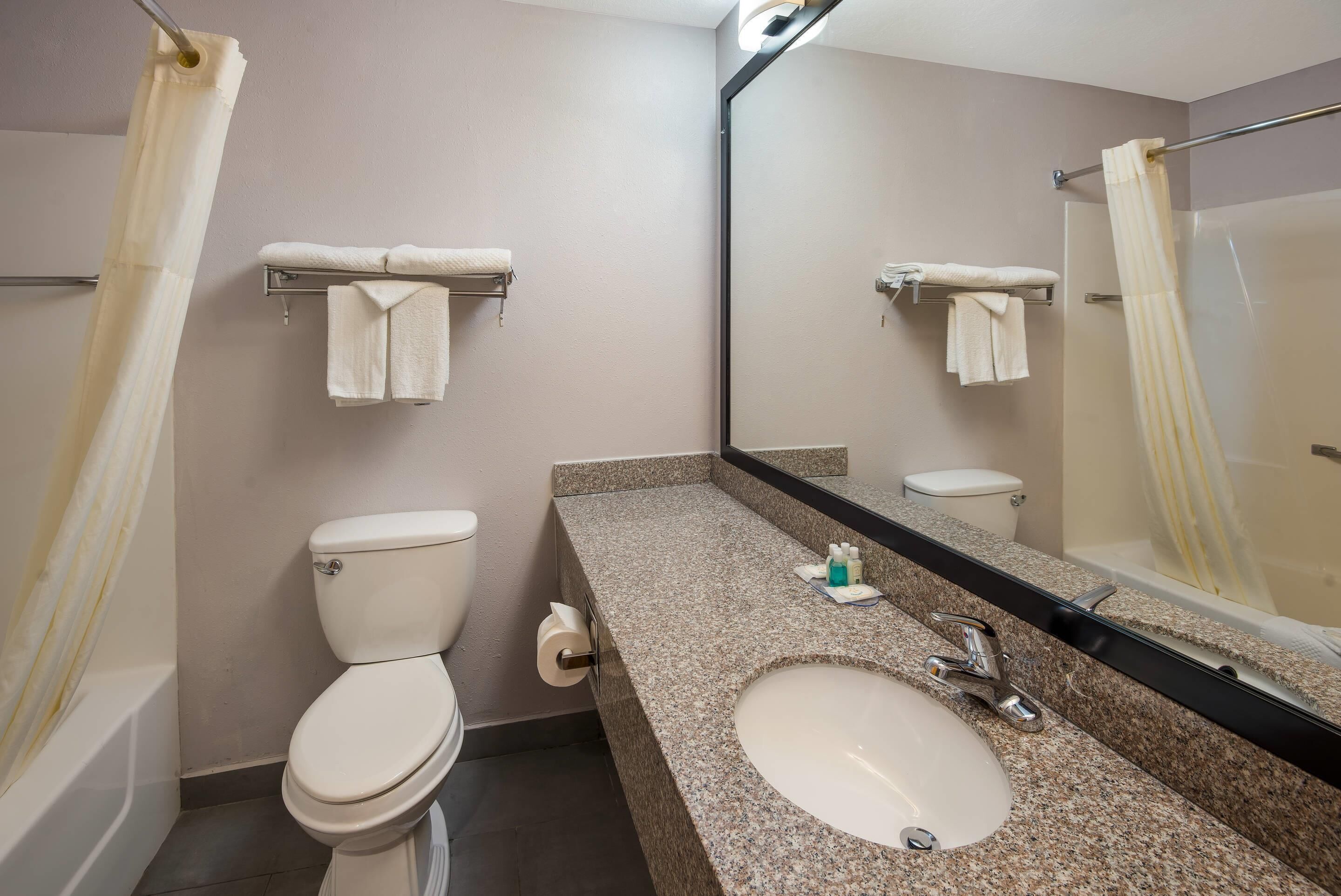 A bathroom with a toilet, sink, and mirror.