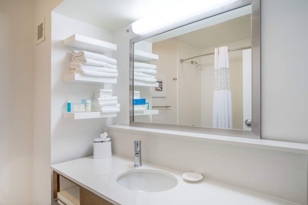 combined shower/bathtub, free toiletries, hair dryer, towels