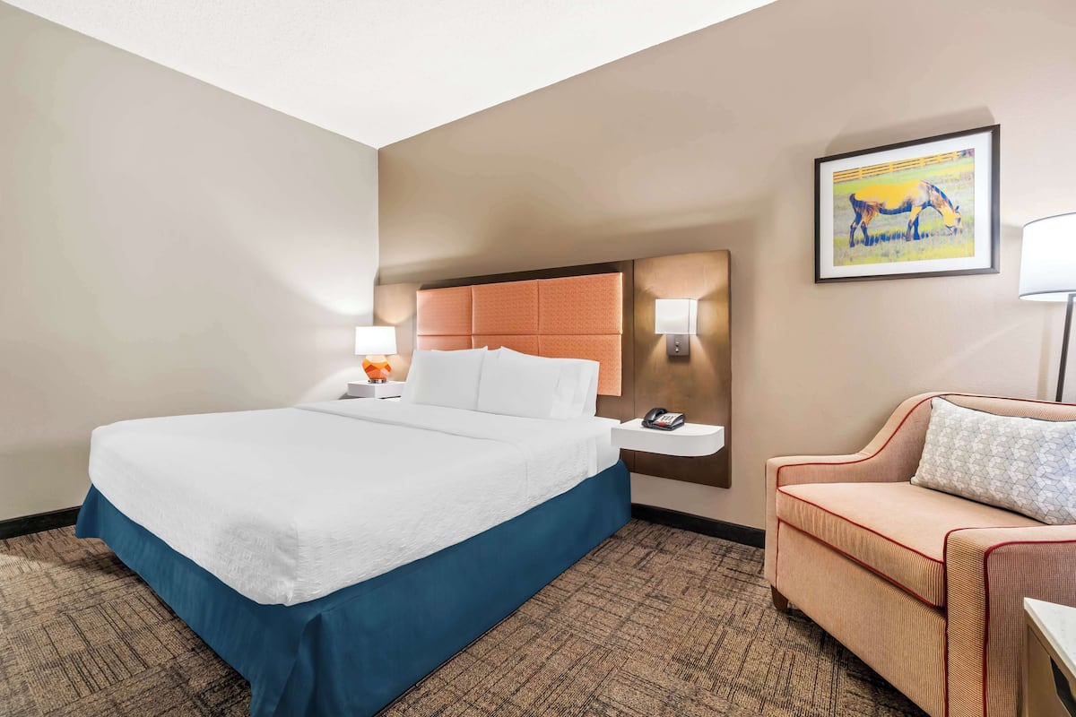 A hotel room with a large bed, a sofa, a nightstand, a lamp, and a framed picture on the wall.