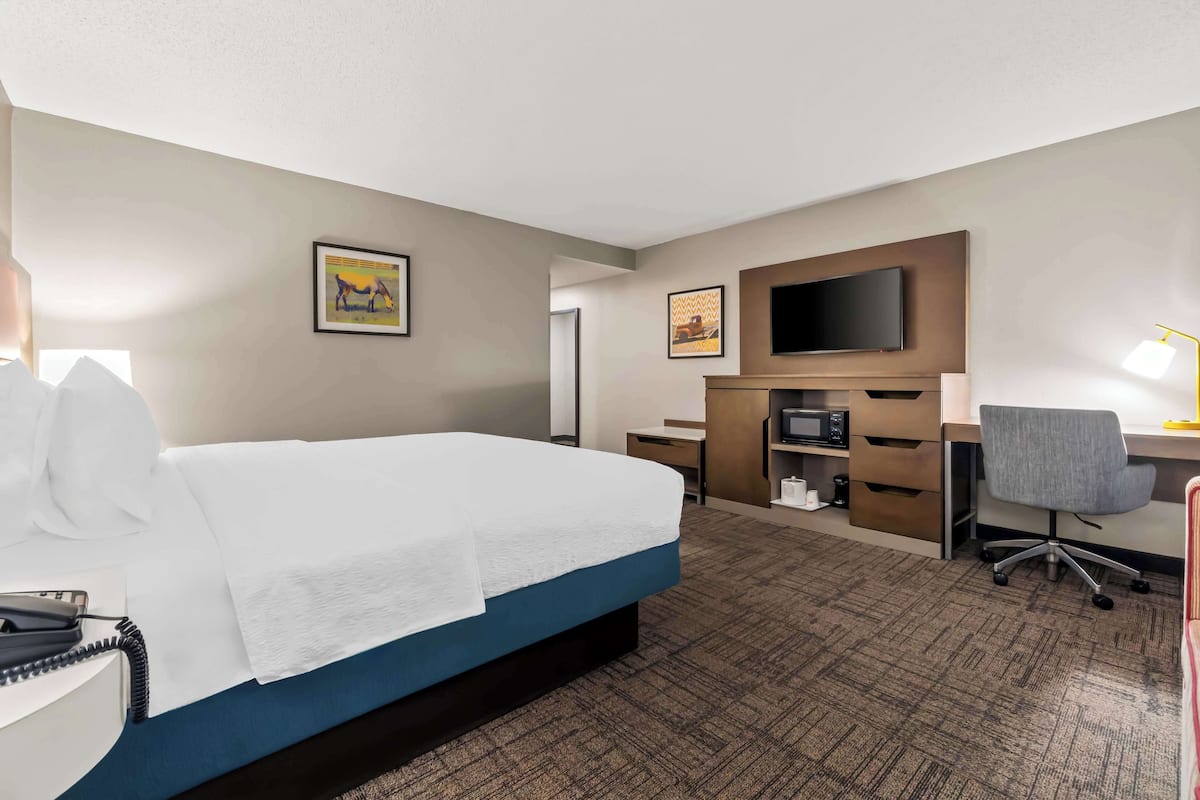 A hotel room with a bed, desk, chair, television, and artwork on the walls.