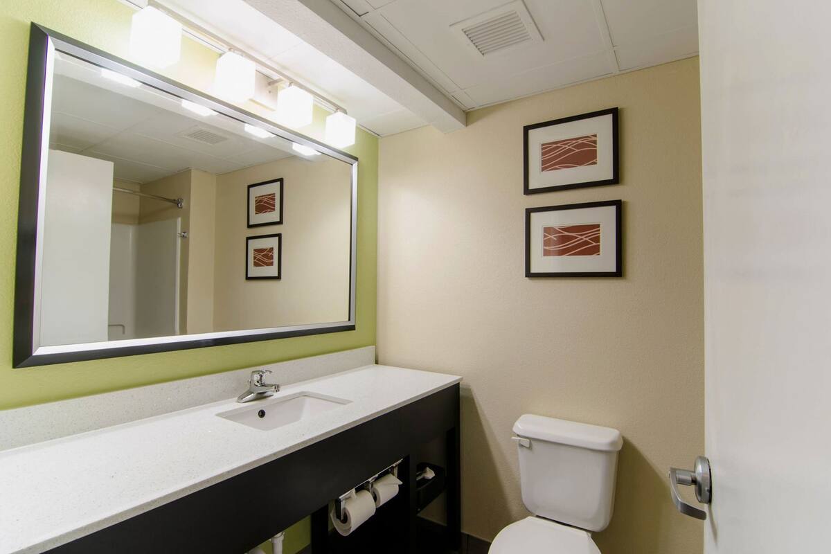 A bathroom with a large mirror, a sink, a toilet, and two framed pictures on the wall.