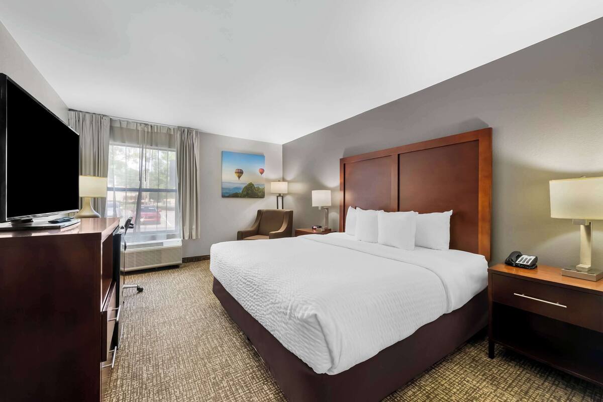 Une chambre d’hôtel avec un grand lit, un bureau avec une télévision, une chaise, une table de chevet avec une lampe et un tableau au mur.