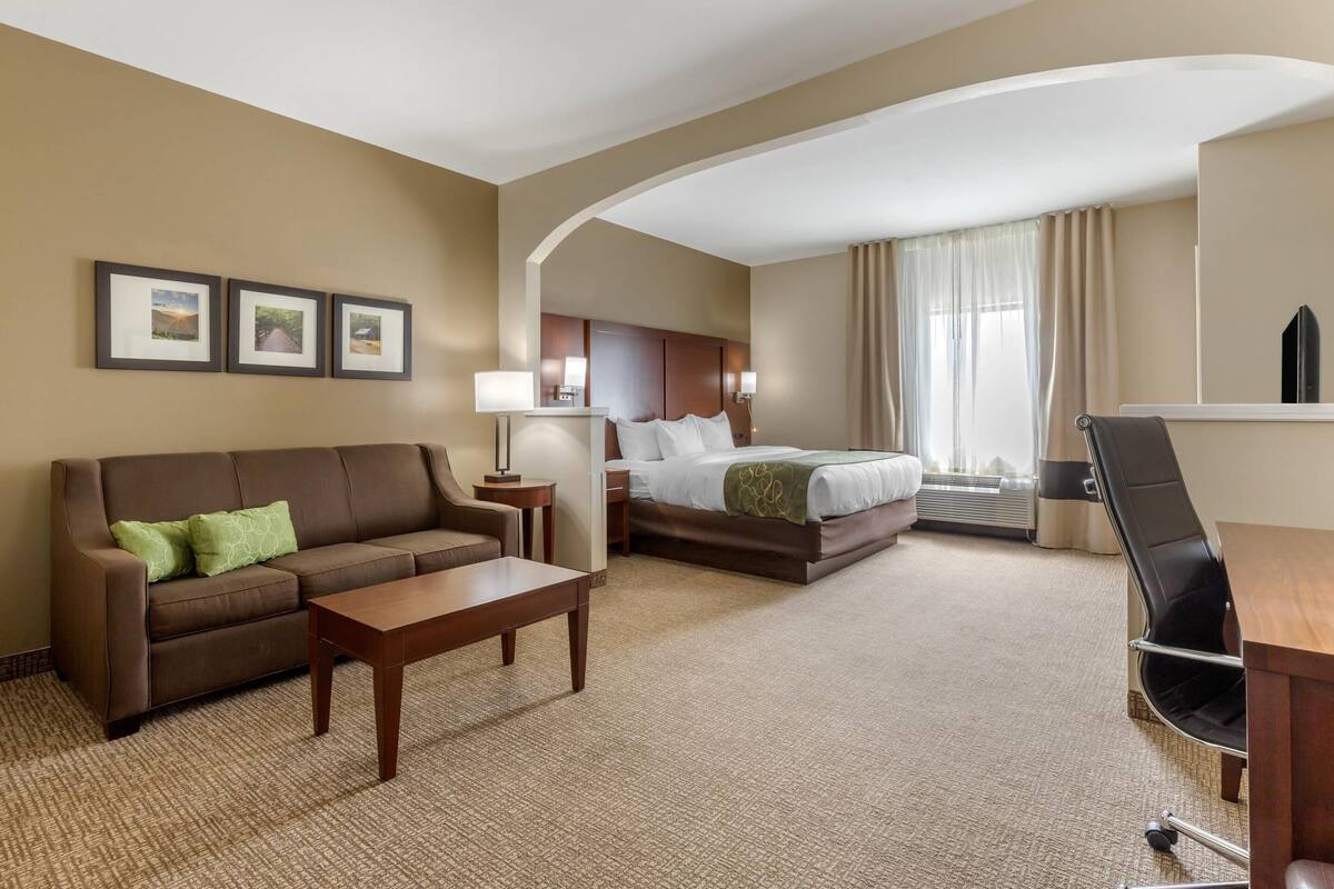 Una habitación de hotel con cama, sofá, escritorio y una silla.