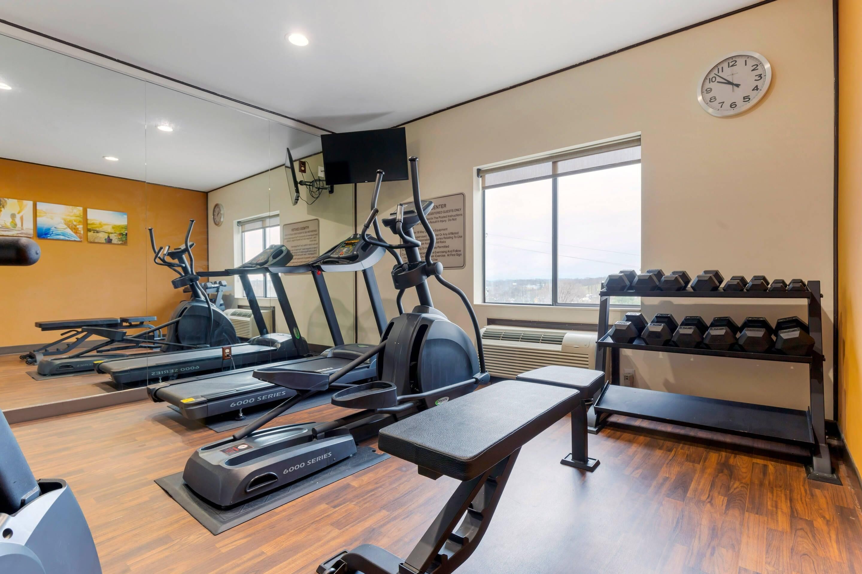 A gym with treadmills, elliptical machines, a bench, and a rack of dumbbells.