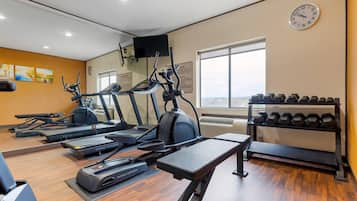 A gym with treadmills, elliptical machines, a bench, and a rack of dumbbells.