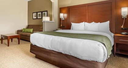 Comfort Suites Johnson City near University