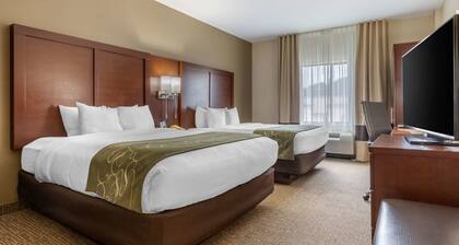 Comfort Suites Johnson City near University