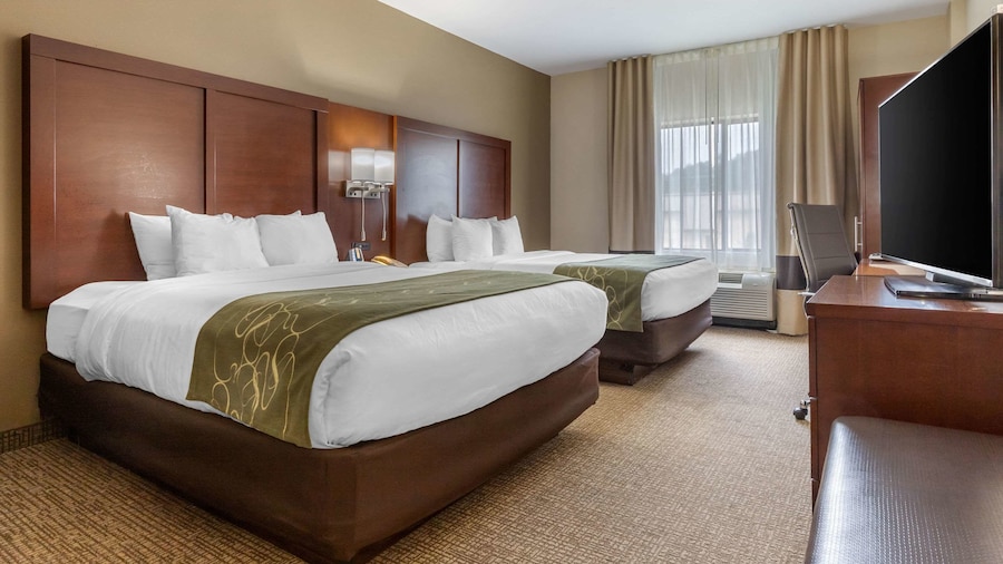Comfort Suites Johnson City near University