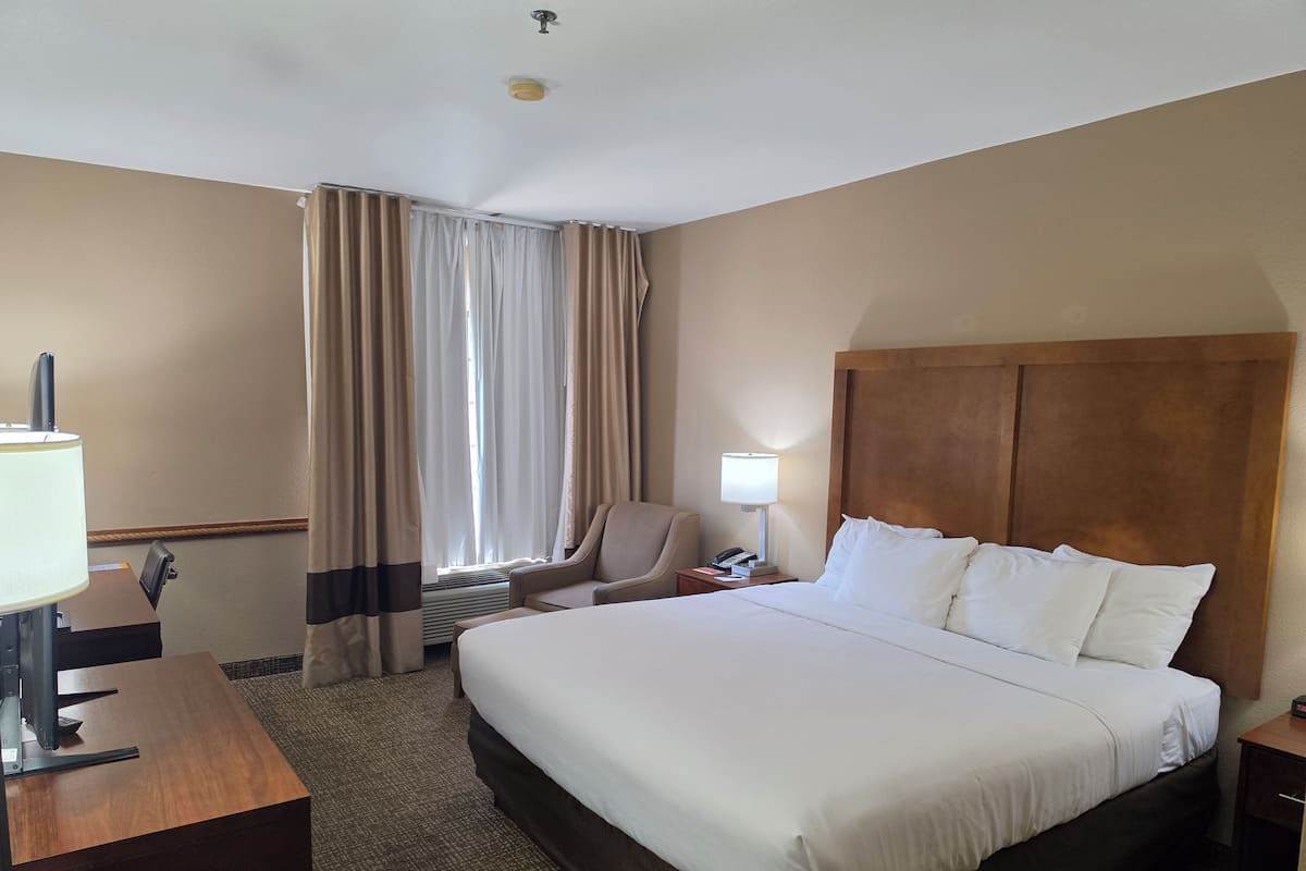 Habitación estándar, 1 cama King size, para no fumadores | Ropa de cama de alta calidad y escritorio