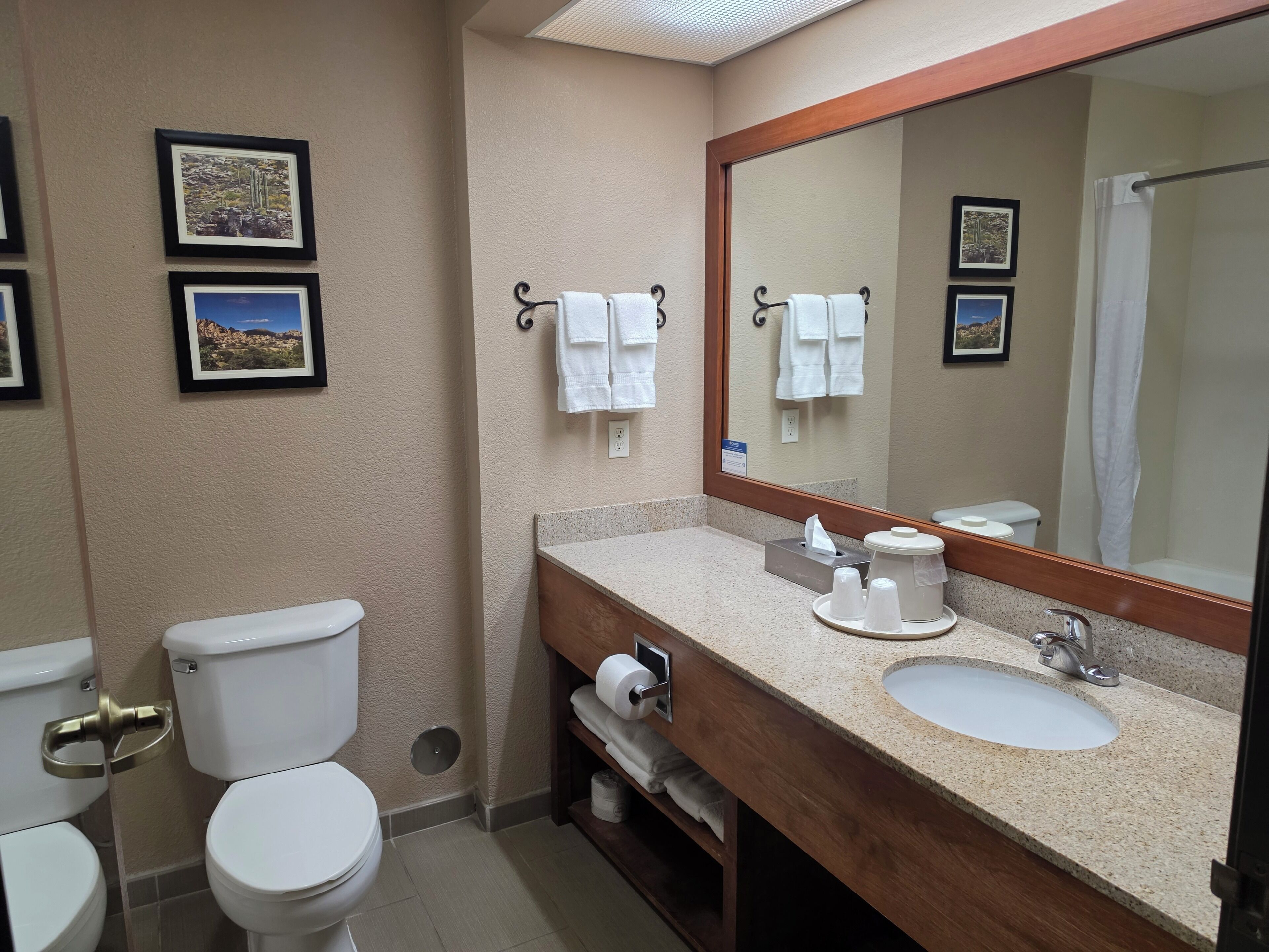 A bathroom with two toilets, a sink, a mirror, and framed pictures on the wall.