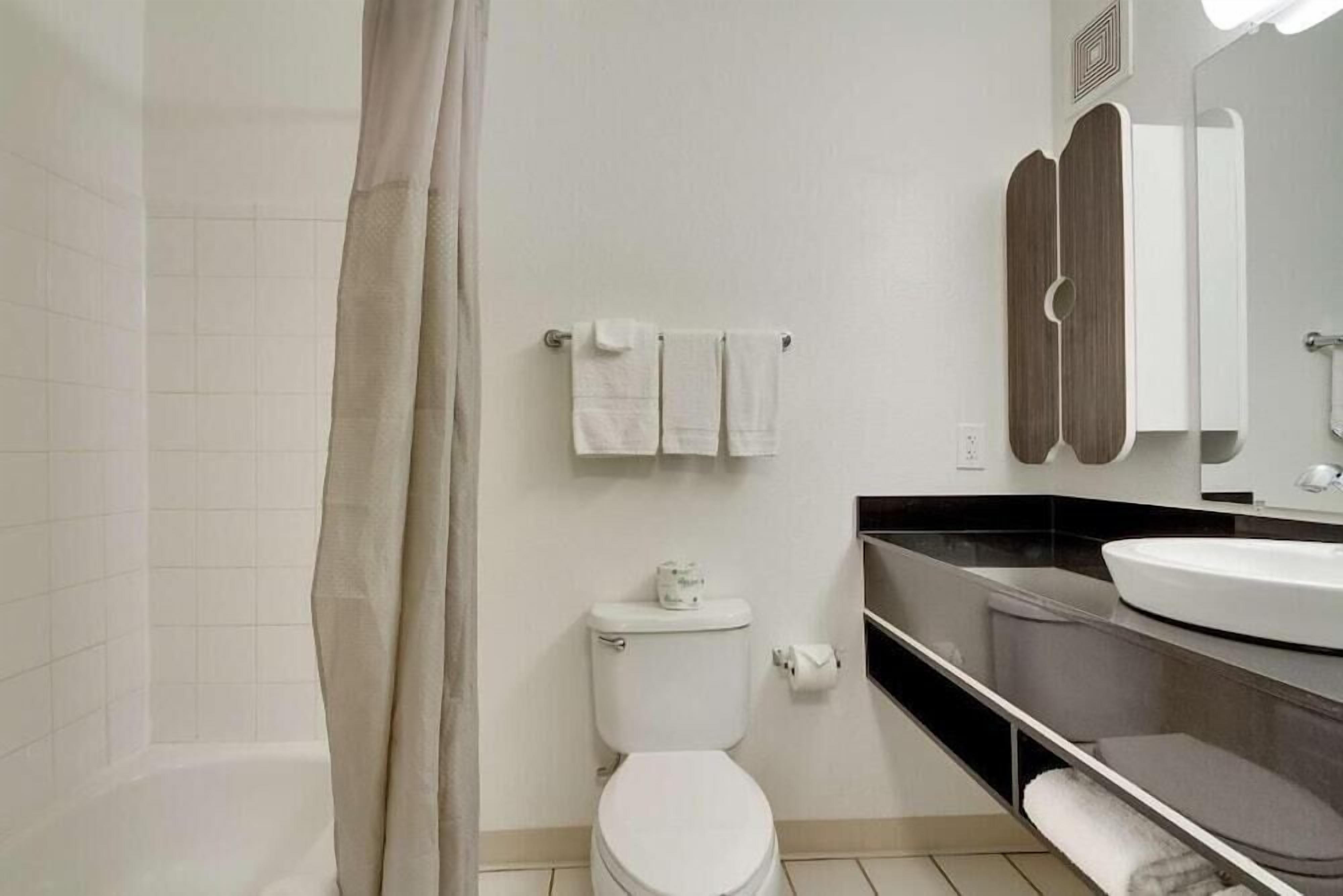A modern bathroom with a shower, toilet, sink, and mirror.