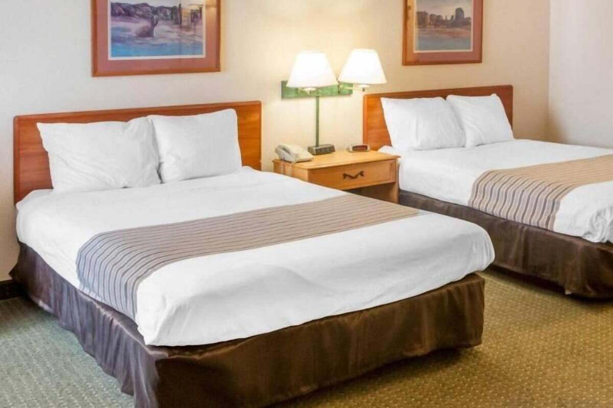 Habitación de hotel con dos camas, una mesita de noche con lámpara y dos cuadros en la pared.