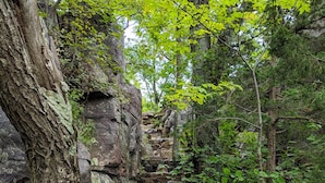 Un escalier en pierre, situé dans une zone boisée, bordé de grands arbres et de verdure.