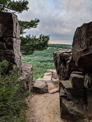 Explore the rugged terrain and dense foliage along this winding dirt path.