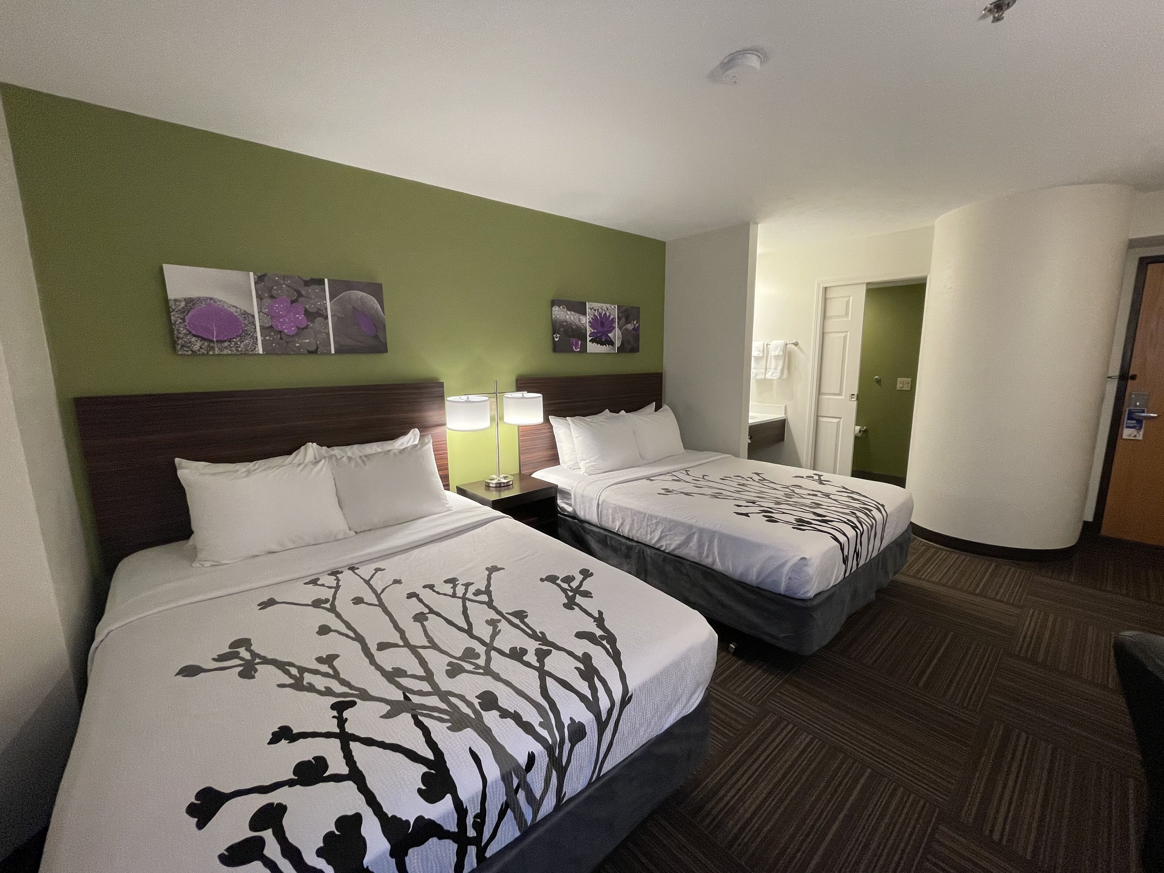 Ein Hotelzimmer mit zwei Betten, einer grünen Wand und einem durchgegangene Tür erkennbaren Badezimmer.