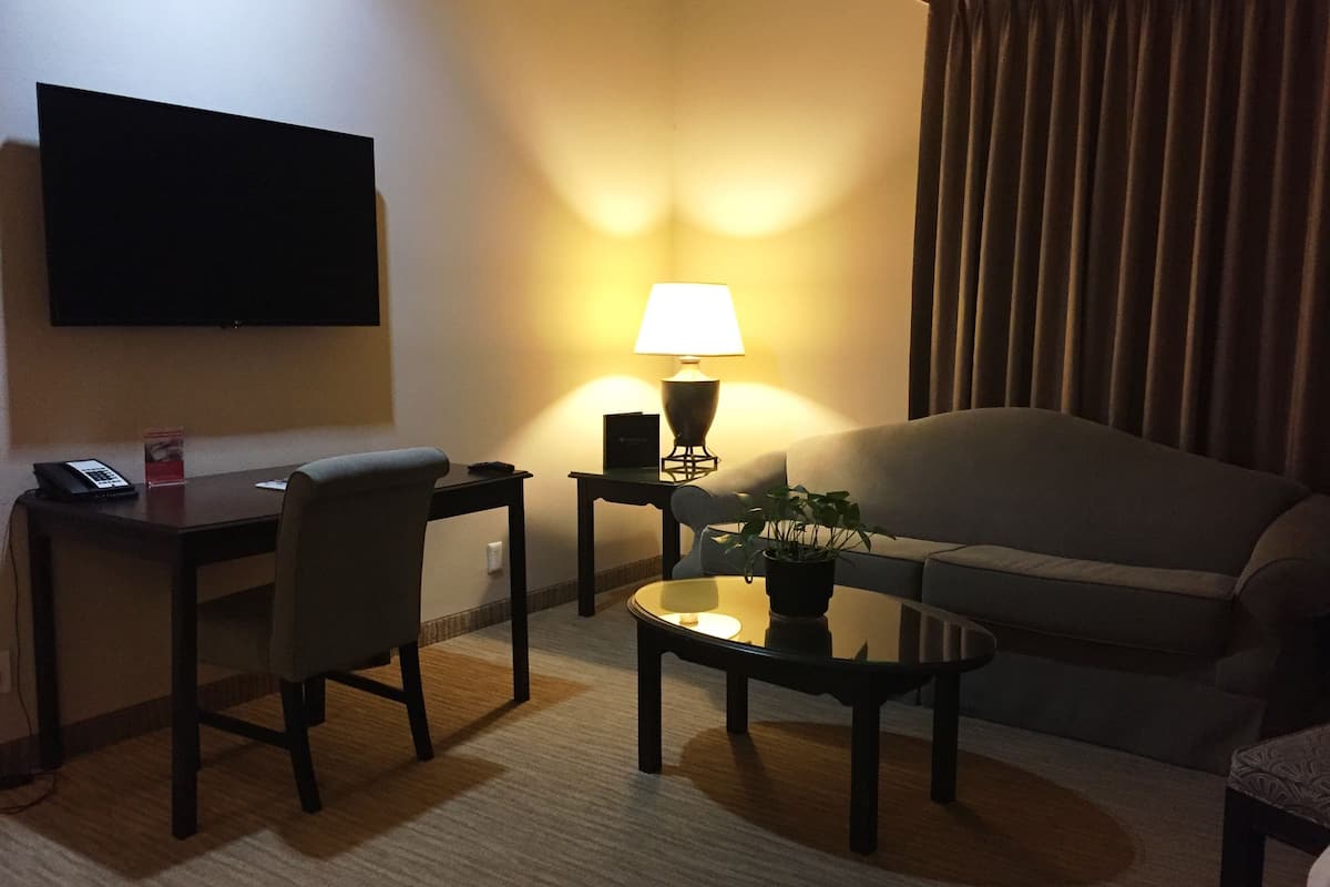 premium suite, 1 king bed (coast premium king junior suite) | living area | 49-inch flat-screen tv with satellite channels, tv
