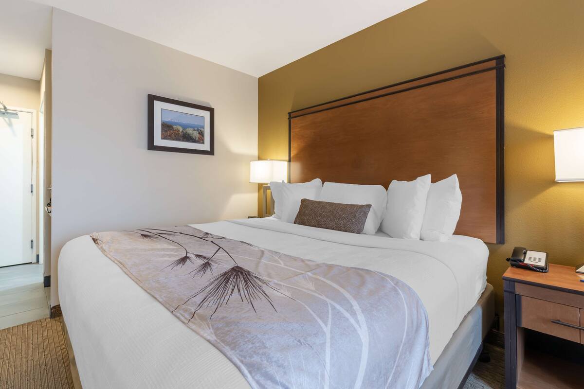 A hotel room with a large bed, a wooden headboard, a bedside table with a lamp, and a framed picture on the wall.