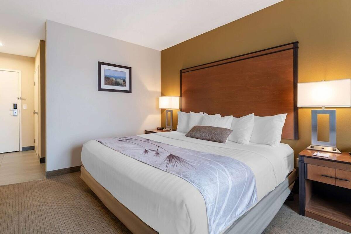 A hotel room with a large bed, two bedside lamps, a nightstand, a framed picture on the wall, and a door leading to another room.