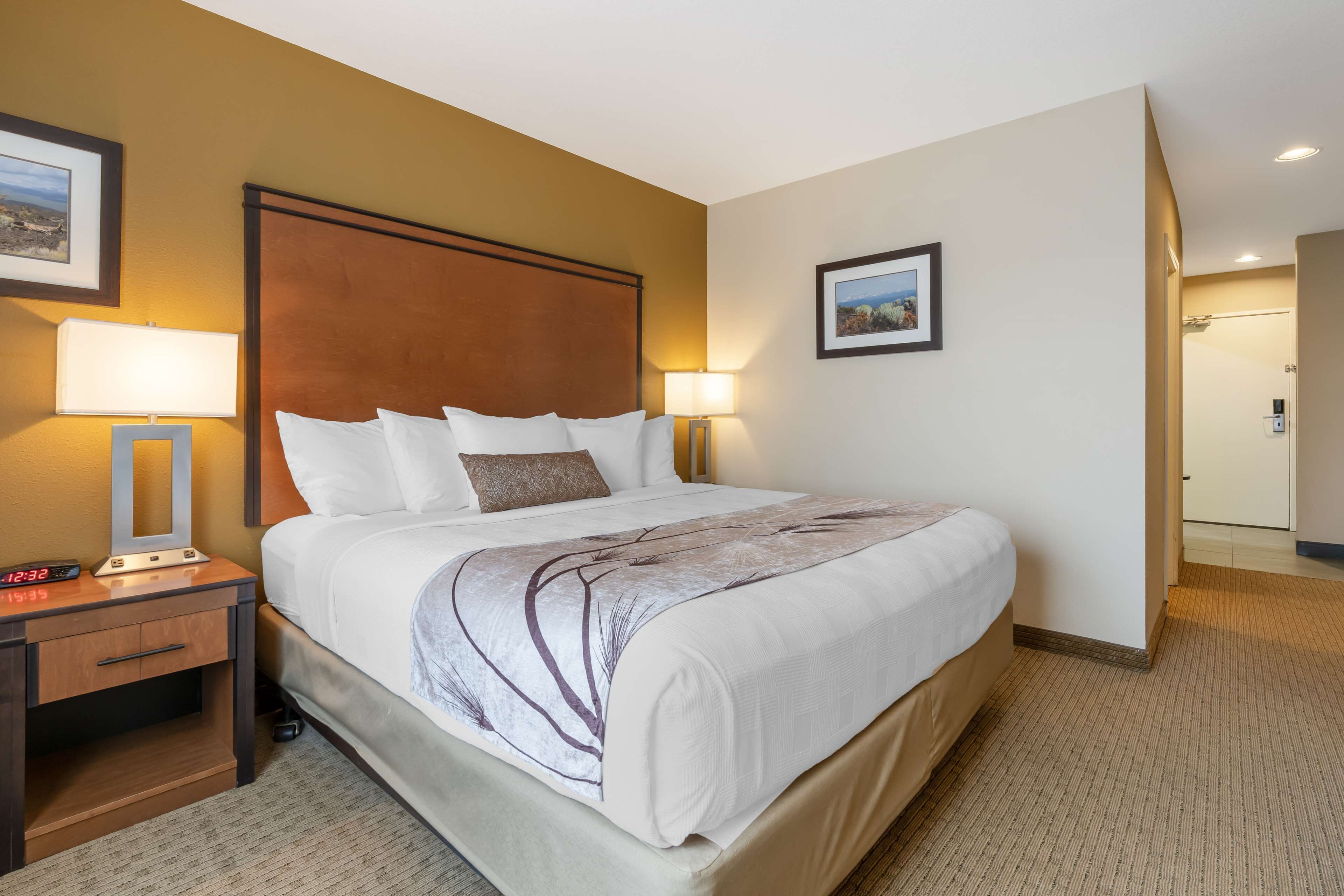 Quarto de hotel com uma cama grande, duas mesas de cabeceira com luminárias, um criado-mudo e um quadro na parede.
