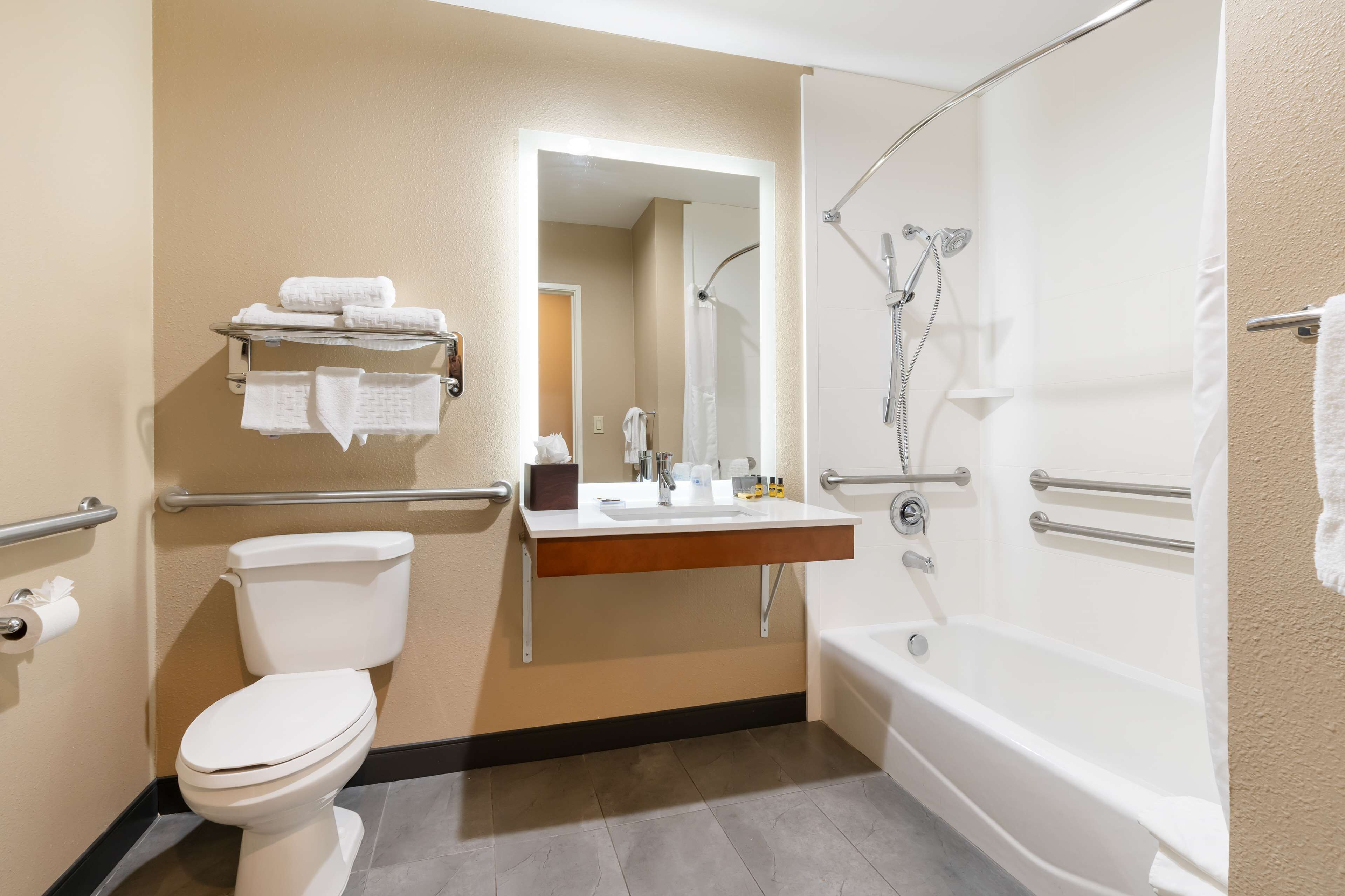 standard room, 1 king bed, accessible, refrigerator & microwave | bathroom | free toiletries, hair dryer, towels, soap