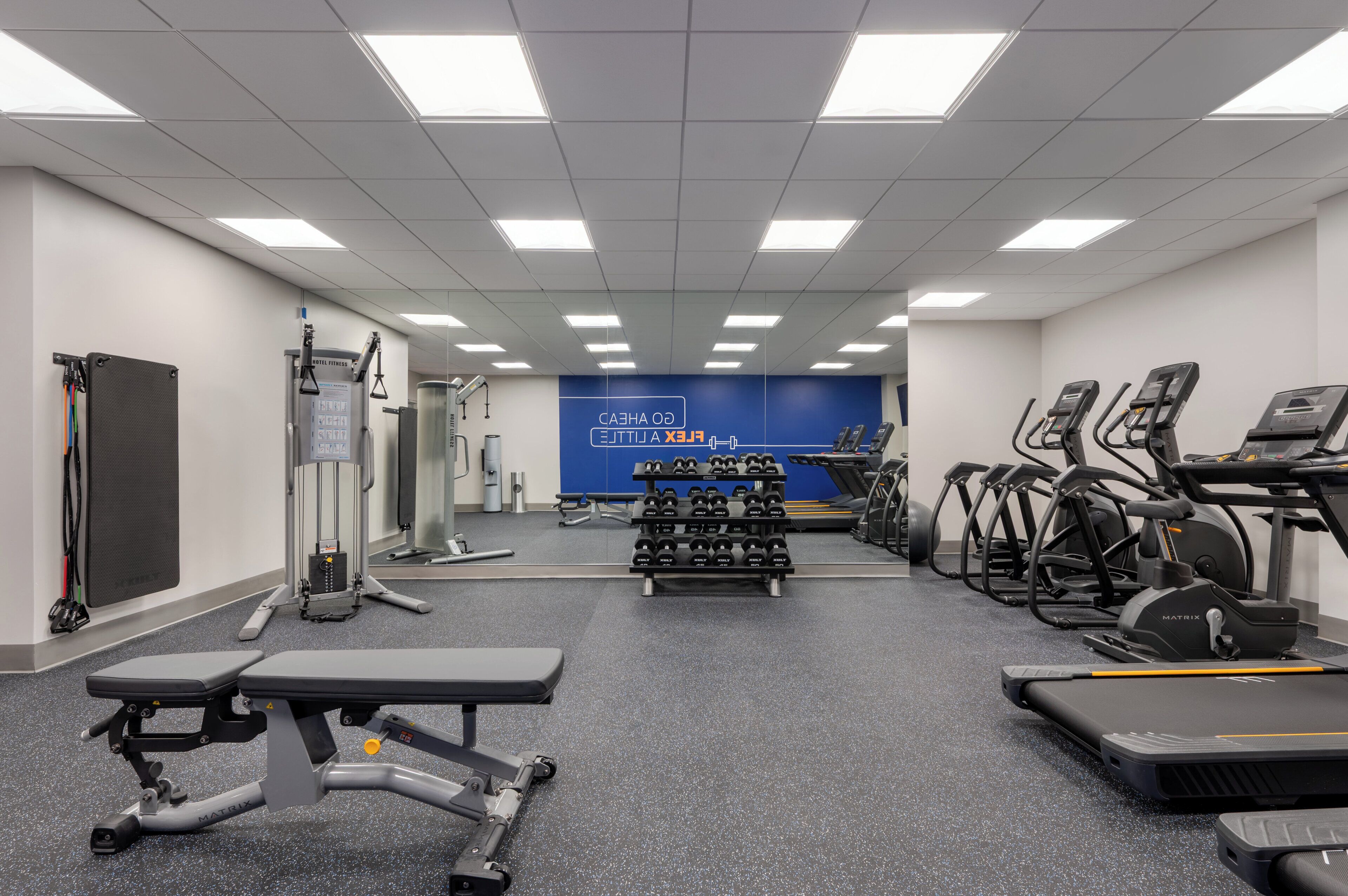 A gym with treadmills, elliptical machines, and free weights.