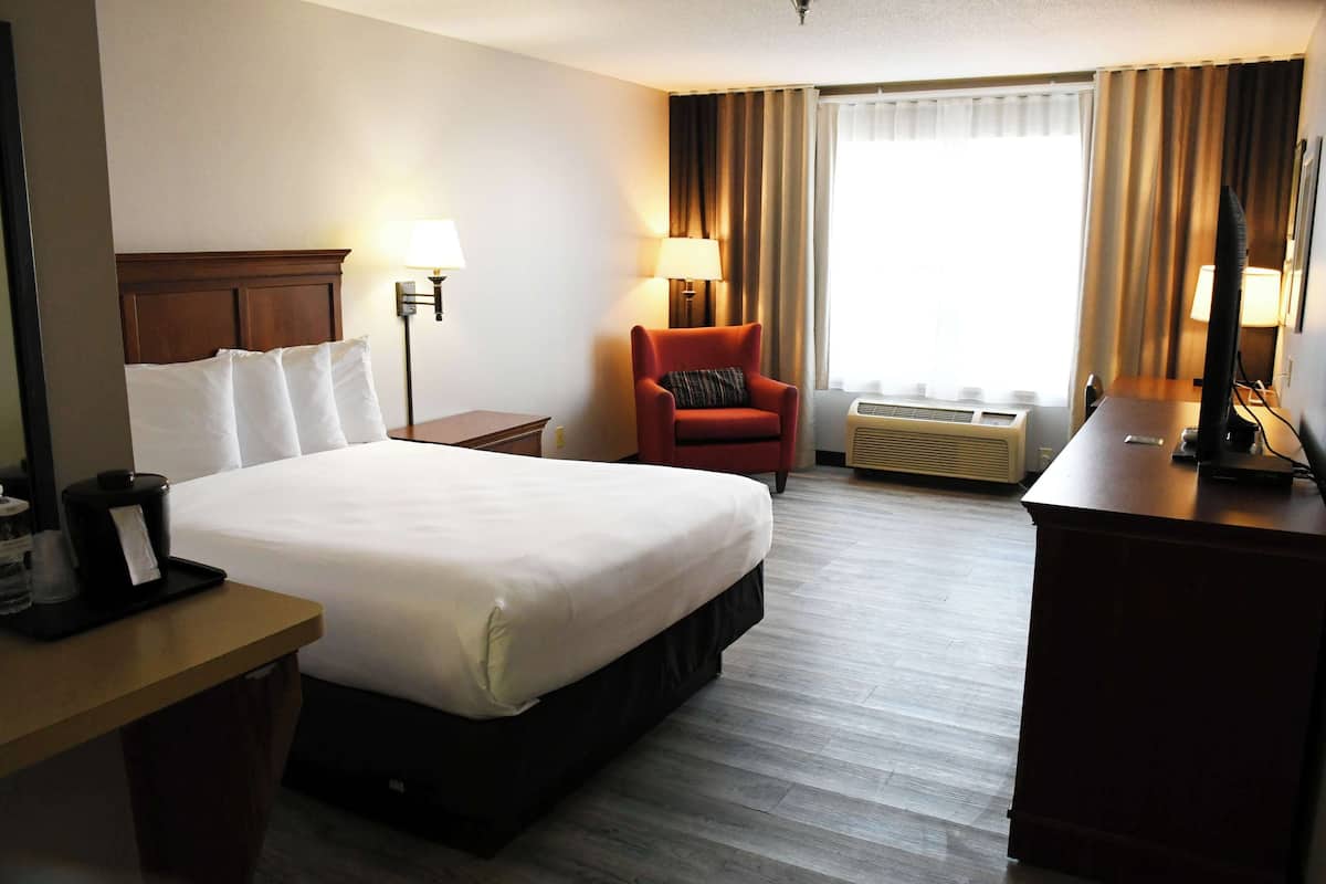 Standard Room, 1 King Bed, Non Smoking | 1 bedroom, premium bedding, pillowtop beds, desk