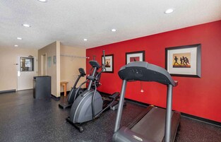Un gimnasio con cintas de correr y máquinas elípticas, una pared roja con cuadros enmarcados, un taburete de madera y un bote de basura.