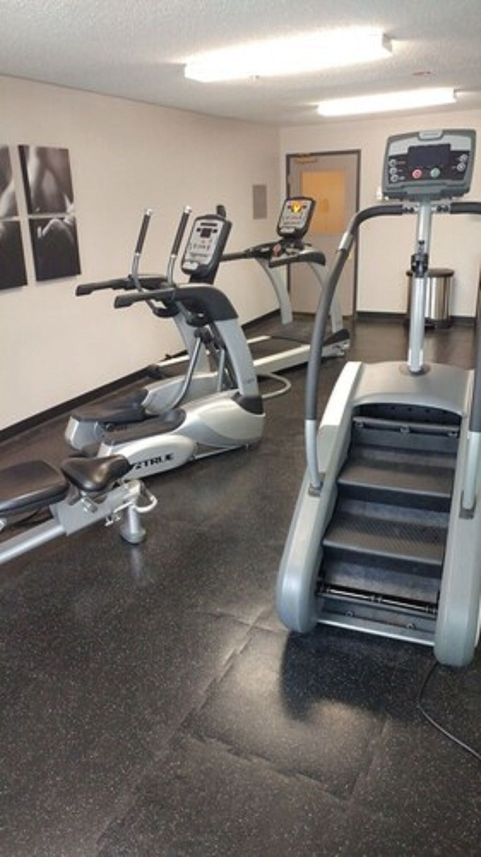 Une salle de sport équipée de tapis de course et de vélos elliptiques, avec une poubelle et un mur orné de tableaux.