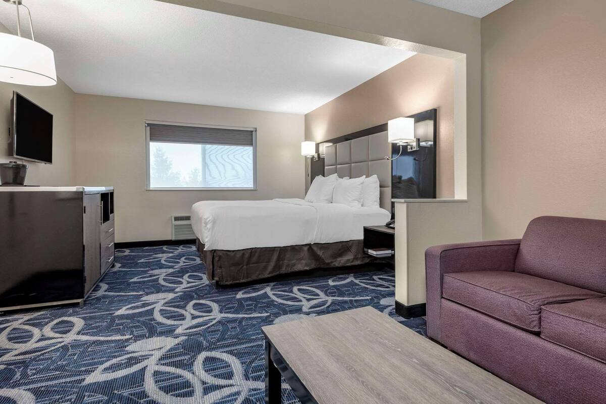A hotel room with a bed, a TV, a desk, a sofa, and a window with blinds.