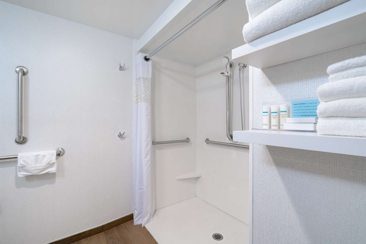 room, accessible, non smoking | bathroom shower